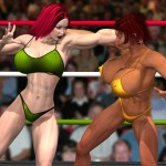 BWL-305_Cover